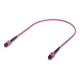 OM4 MPO-12 UPC Fiber Patch Cable,0.5M